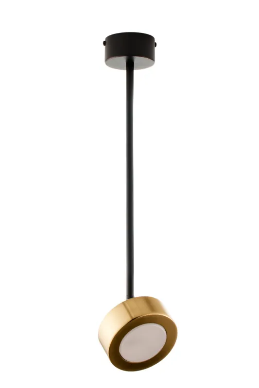 BAR black-gold S 41641 Sigma Nowość