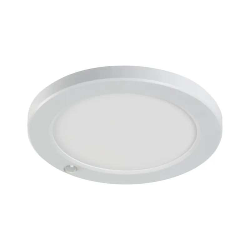 Hit sprzedaży Oprawa typu downlight ERGA