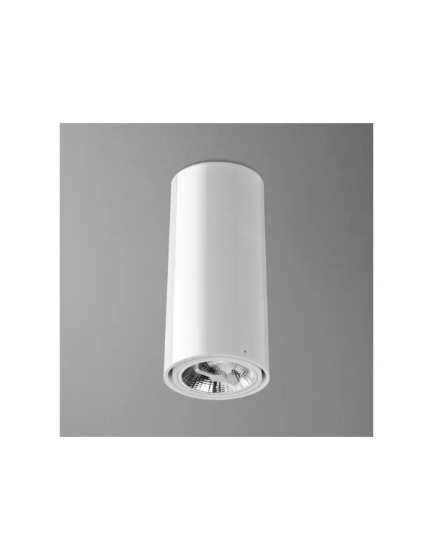 Aqform TUBA 111 230V 34cm natynkowy 46610-0000-U8-PH kolory-swiatla.pl Cena promocyjna