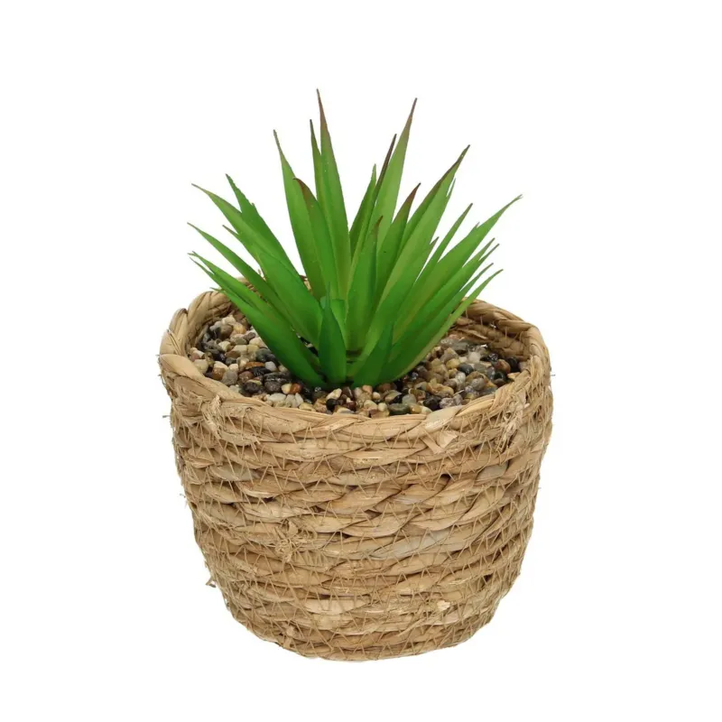 Dekoracja Aloe 20cm, 12 x 12 x 20 cm - Bezpieczna płatność