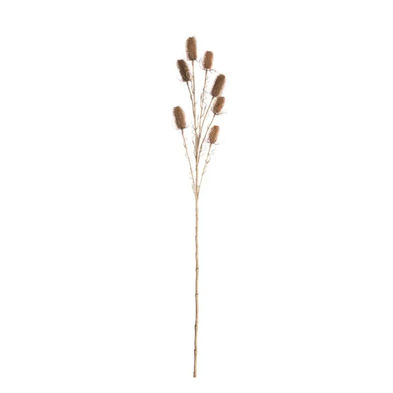 Tylko dziś Oset Ozdobny 110cm beige, 5 x 5 x 110 cm -