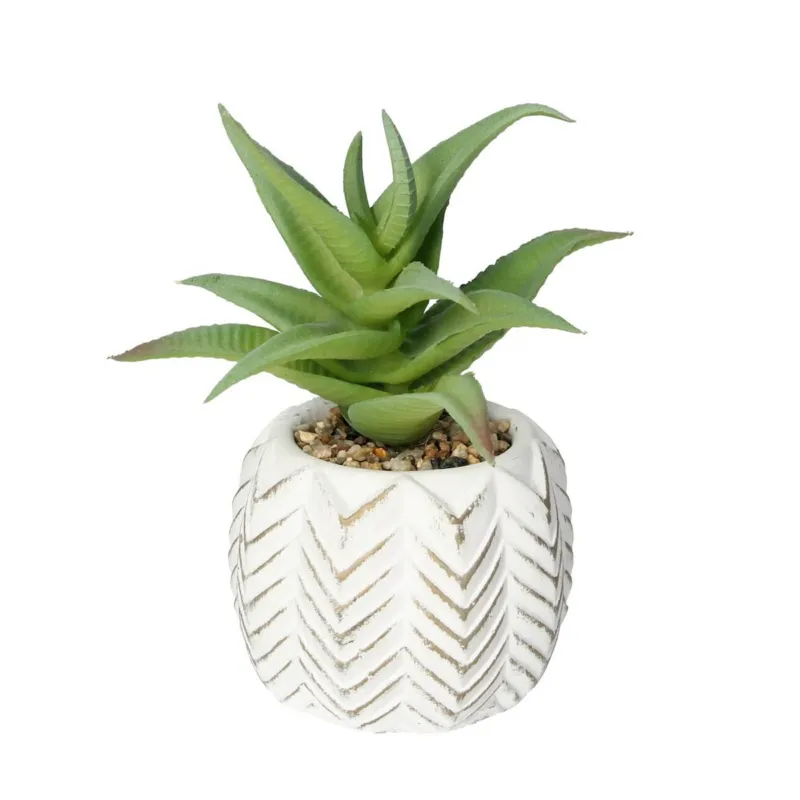 Dekoracja Aloes I 14cm, 8 x 8 x 14 cm - Niska cena