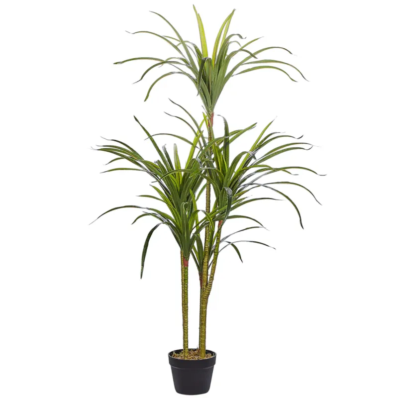 Sztuczna roślina DRACAENA ANITA 147 cm Zielony - Wyjątkowa oferta