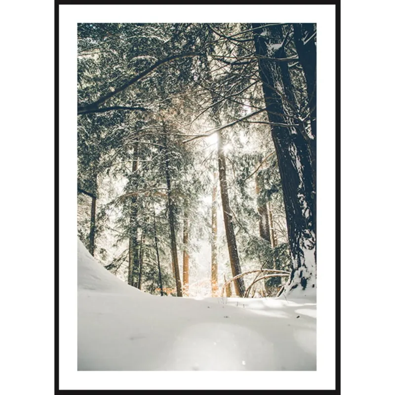 Bezpieczna płatność Poster Story, Plakat, Obraz - Zimowy Las z Lotu Ptaka, wymiary 42 x 60 cm -