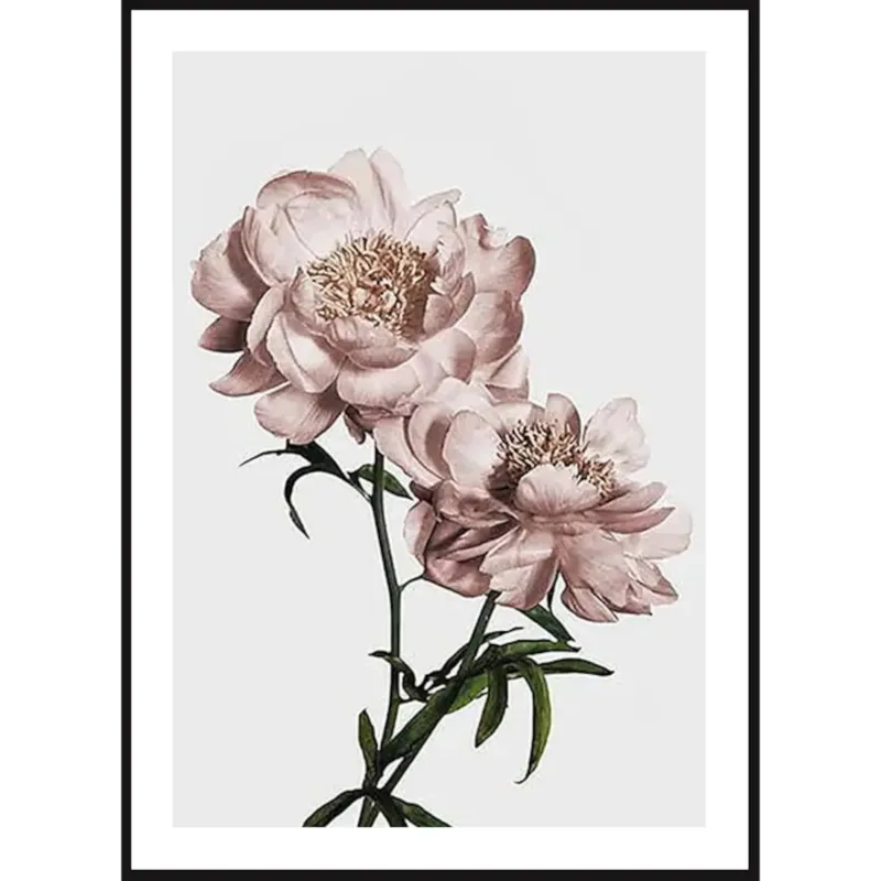 Poster Story, Plakat, Obraz - Różowe Tulipany No1, wymiary 21 x 30 cm - Ekspresowa dostawa