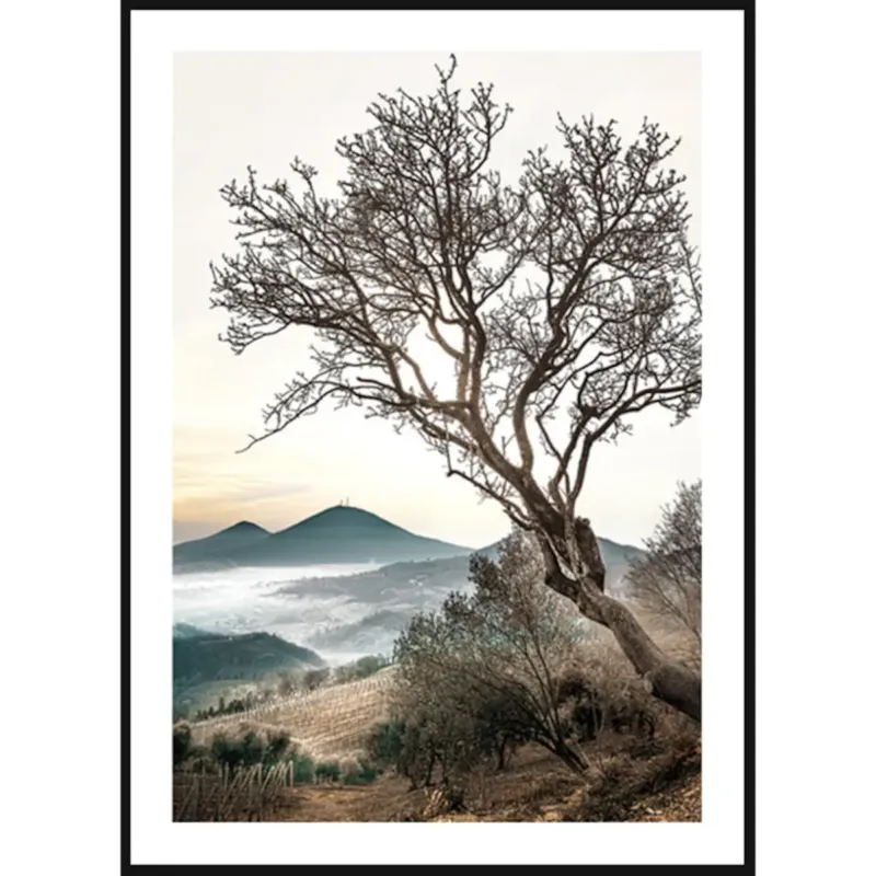 Poster Story, Plakat, Obraz - Stare Drzewo na Wzgórzu, wymiary 60 x 84 cm - Bezpieczne zakupy