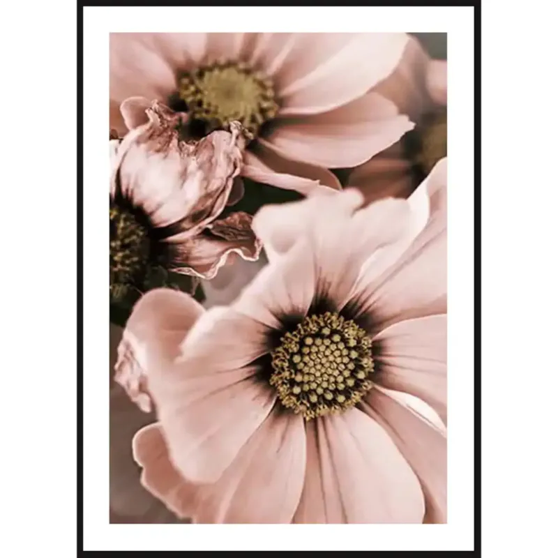 Darmowy zwrot Poster Story, Plakat, Obraz - Różowe Magnolie, wymiary 30 x 42 cm -