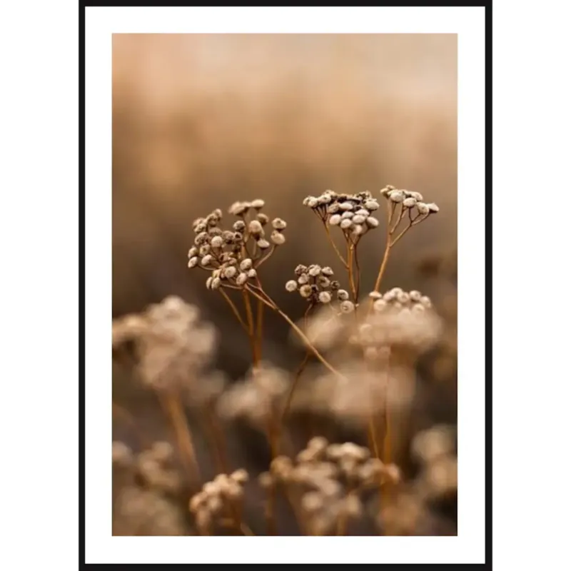 Poster Story, Plakat, Obraz - Jesienne Polne Kwiaty, wymiary 42 x 60 cm - Szybka dostawa