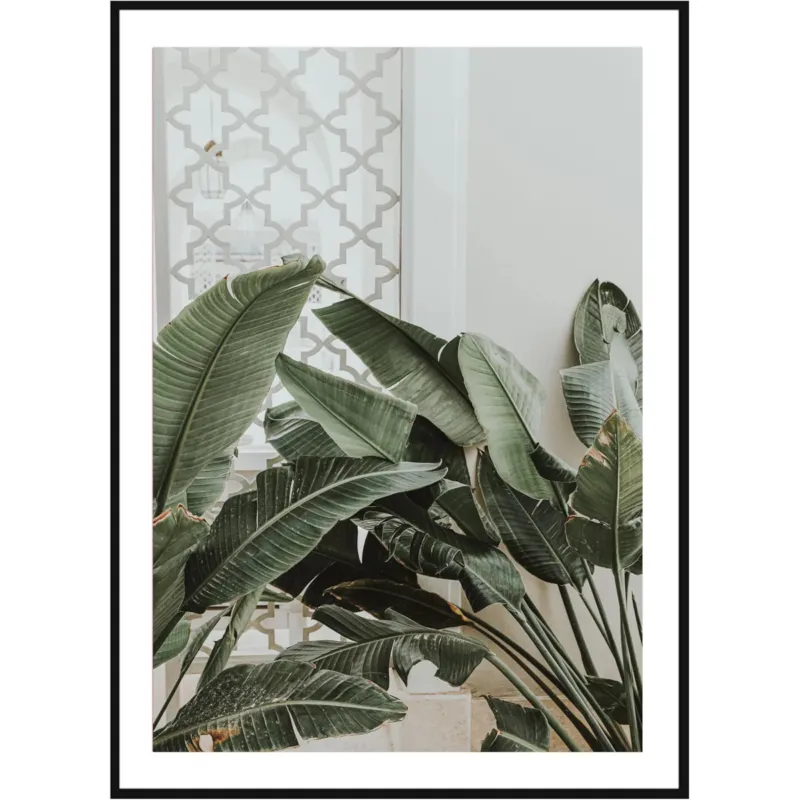 Poster Story, Plakat, Obraz - Liście Bananowca Musa No2, wymiary 30 x 42 cm - Rabat