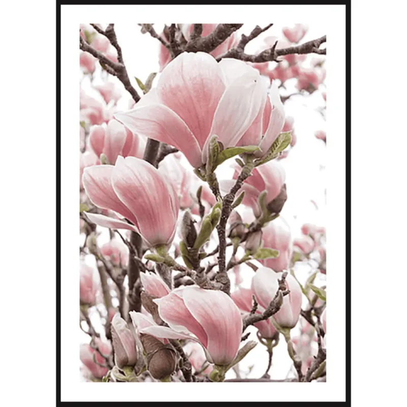 Poster Story, Plakat, Obraz - Różowa Magnolia w Akwareli, wymiary 60 x 84 cm - Szybka dostawa