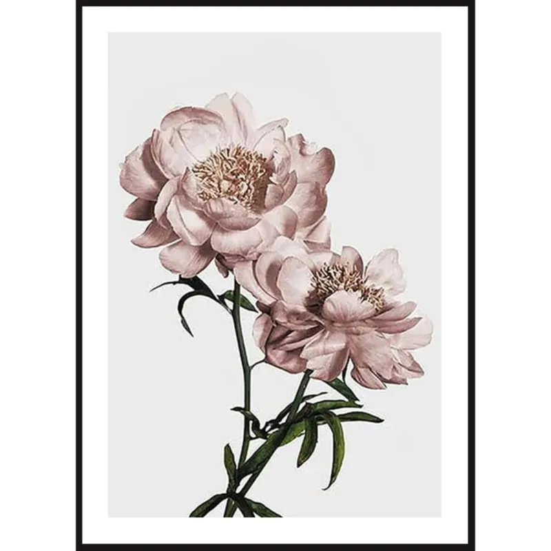 Bestseller Poster Story, Plakat, Obraz - Różowe Tulipany No1, wymiary 60 x 84 cm -