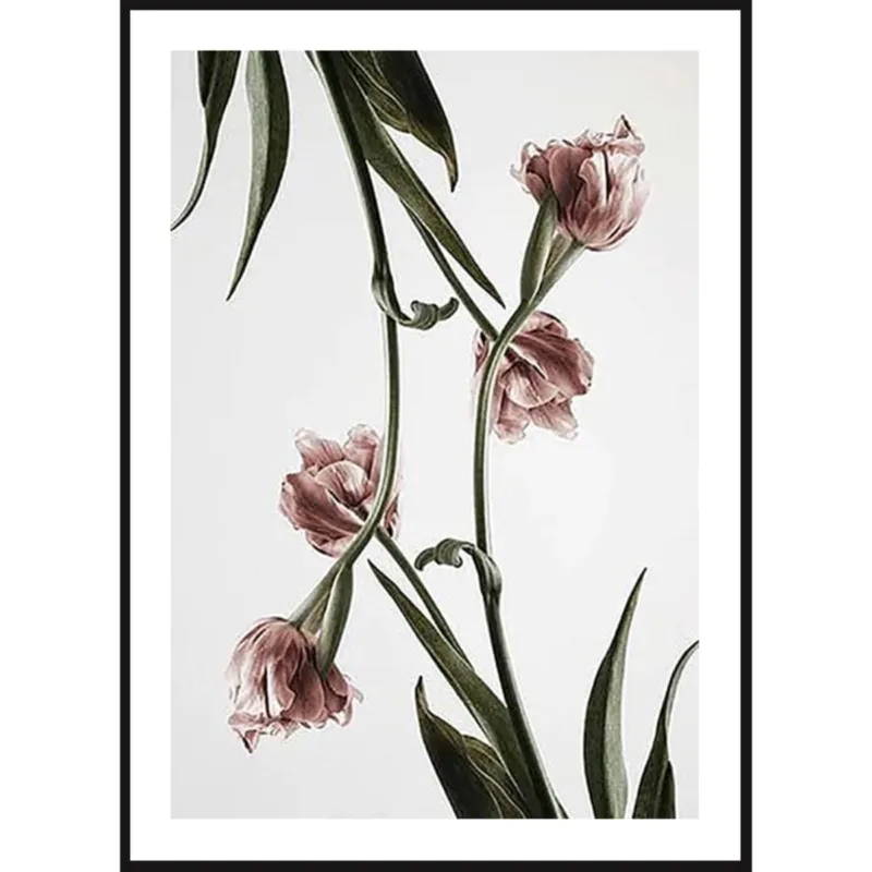 Poster Story, Plakat, Obraz - Różowe Tulipany No4, wymiary 70 x 100 cm - Ograniczona ilość