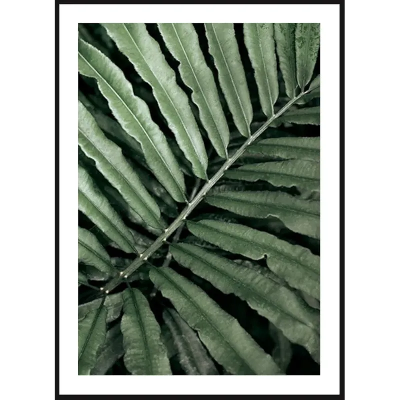 Poster Story, Plakat, Obraz - Zielony Liść Paproci, wymiary 42 x 60 cm - Niska cena