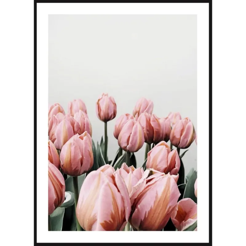 Bezpieczna płatność Poster Story, Plakat, Obraz - Różowe Tulipany na Szarym Tle, wymiary 70 x 100 cm -