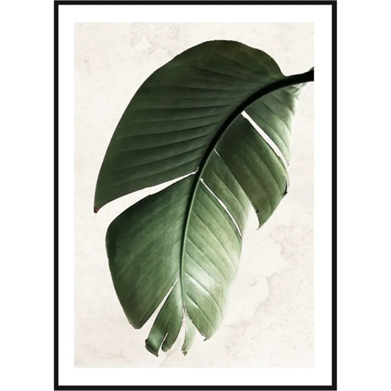 Poster Story, Plakat, Obraz - Zielony Liść Strelitzii, wymiary 21 x 30 cm - Wybór klientów