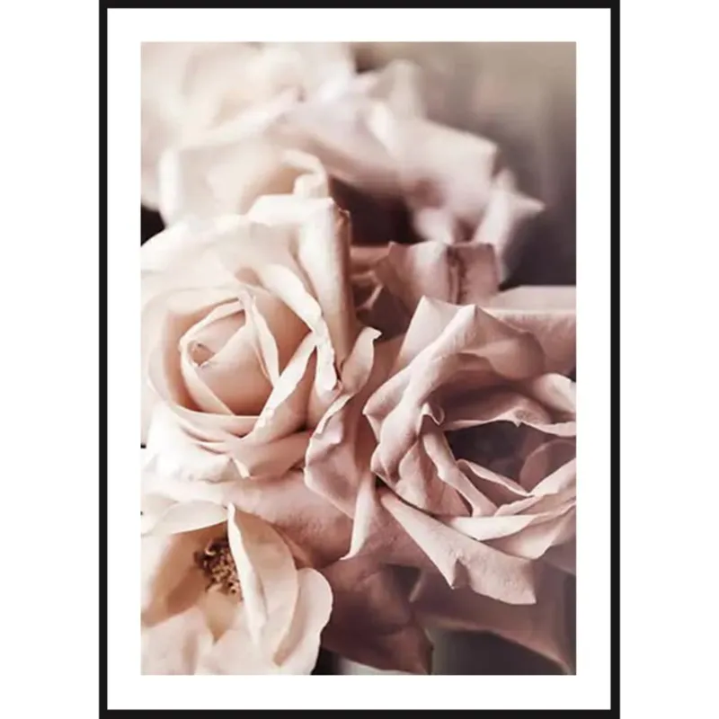 Poster Story, Plakat, Obraz - Piękne Pudrowe Róże, wymiary 30 x 42 cm - Oferta