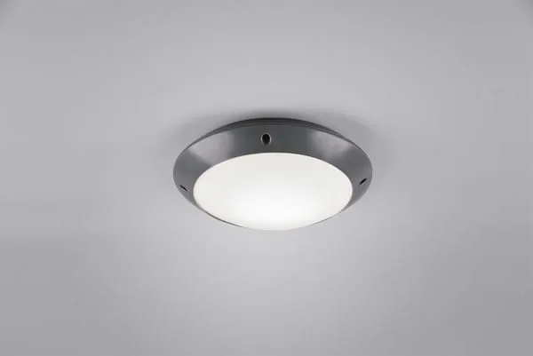 Dodaj do koszyka Lampa zewnętrzna Camaro antracyt E27 R60501042 - RL