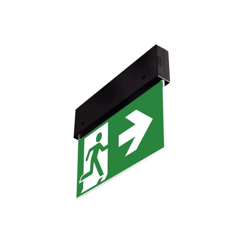 Oprawa Ewakuacyjna Directo S Nm 2H Ct [Blk] + (Vd3, Vd4, Vd5 X 2) / 90182 Oferta czasowa