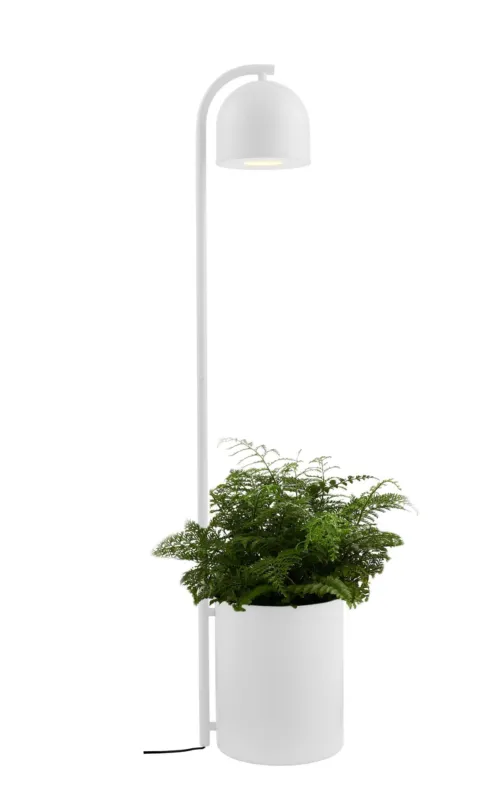 Zniżka Kaspa Lampa podłogowa Botanica XL