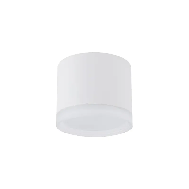 Oferta czasowa Lampa sufitowa SILBA WH CG 10476 - Nowodvorski