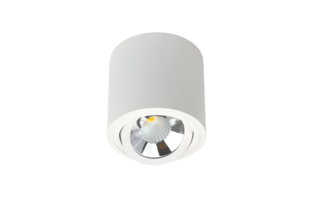 Niska cena Lampa sufitowa SASARI RO 15W 36° 3000K biała 451264 - LOONARI