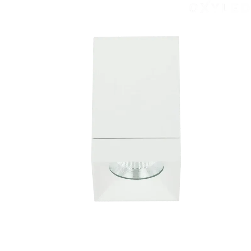 Bezpieczne zakupy Lampa sufitowa BASARO SQ IP65 3000K biała 456887 - LOONARI