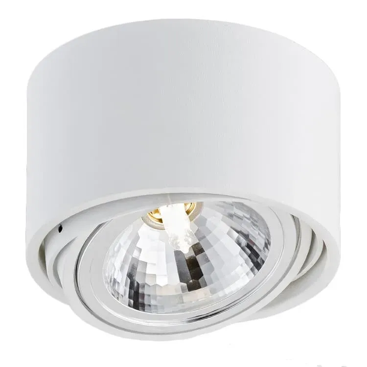 Nowość Oprawa sufitowa reflektor jednopunktowy LUMOS 70251101 - Kaspa