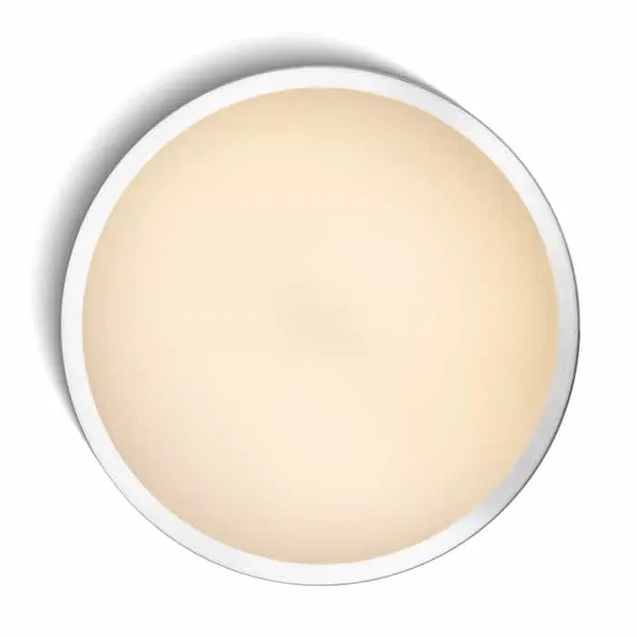 Oprawa sufitowa MELISA 52 R11297 - Rendl Wyprzedaż