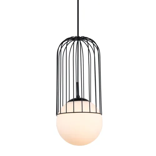 Ekspresowa dostawa Lampa wisząca metalowa czarna druciany abażur szklany klosz kula na przewodzie Italux MDM-3940/1 BK Matty 1xE27