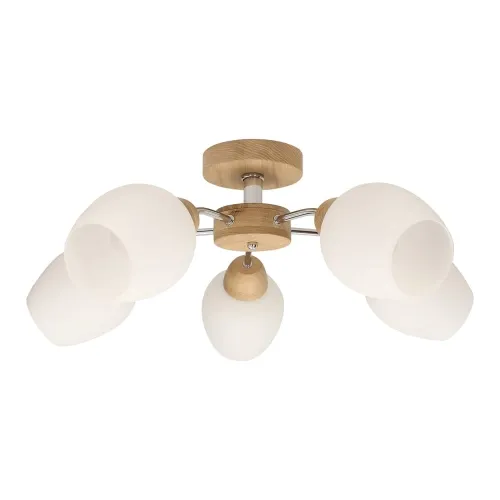 Premium Lampa sufitowa plafon drewno dębowe i białe szklane klosze dzbany Spot-Light 8320574 Parma Wood 5xE27 62cm